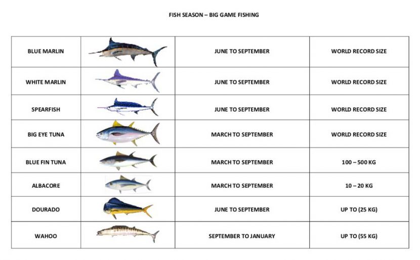 Fishing Calendar – Our Mary